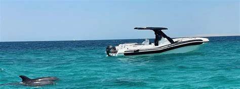Private speedboat and snorkeling tour in Hurghada, Red Sea