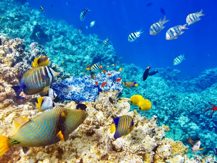 Orange Bay island boat trip from Hurghada on the Red Sea