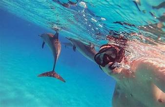 Hurghada Dolphin House snorkeling boat trip in the Red Sea