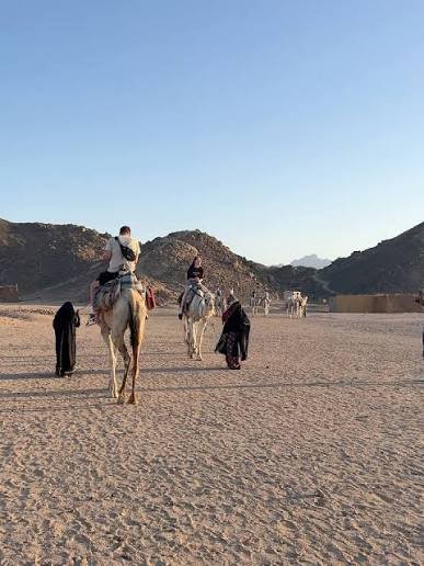Hurghada desert safari and quad bike